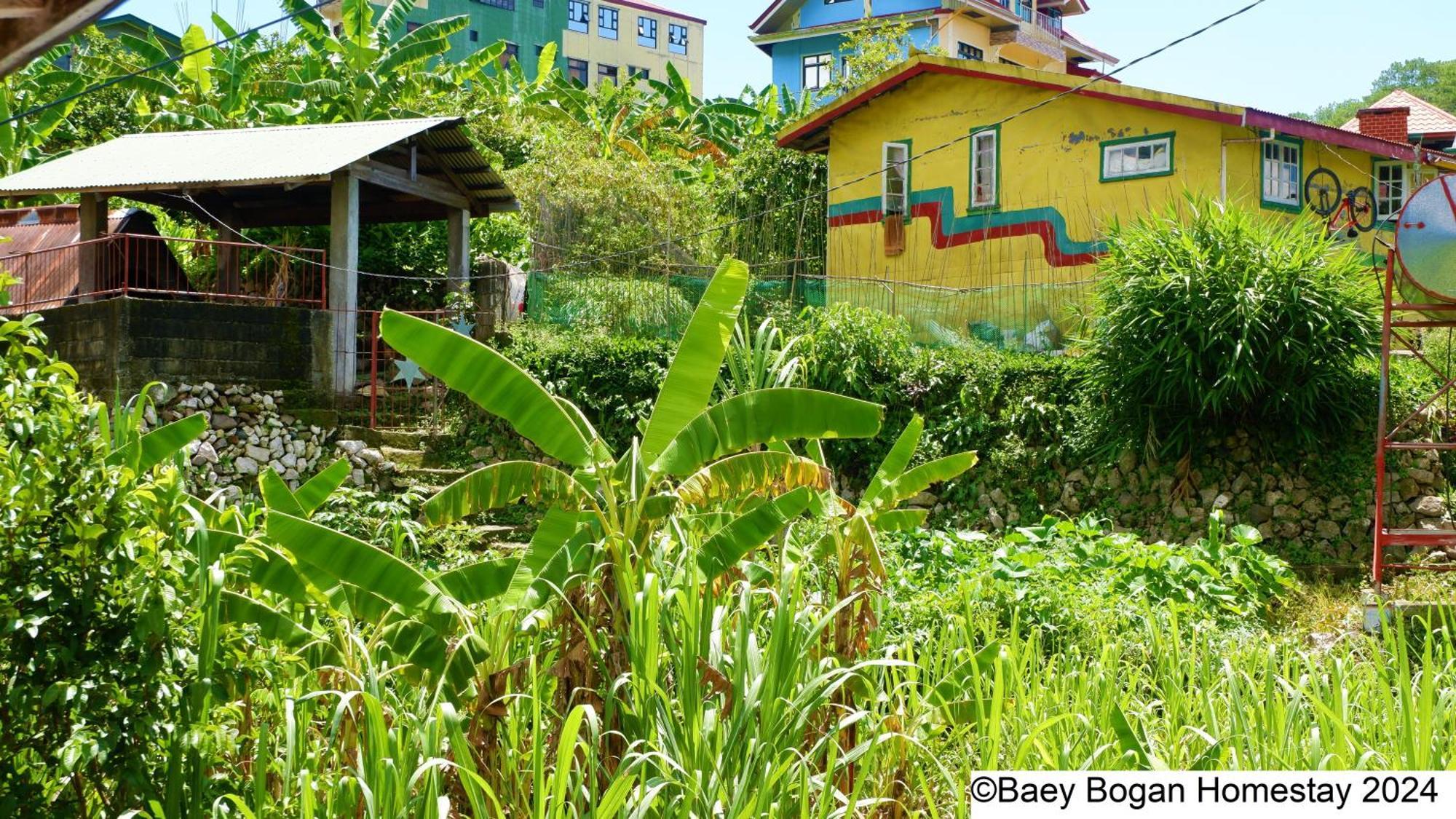 Baey Bogan Homestay Sagada Extérieur photo