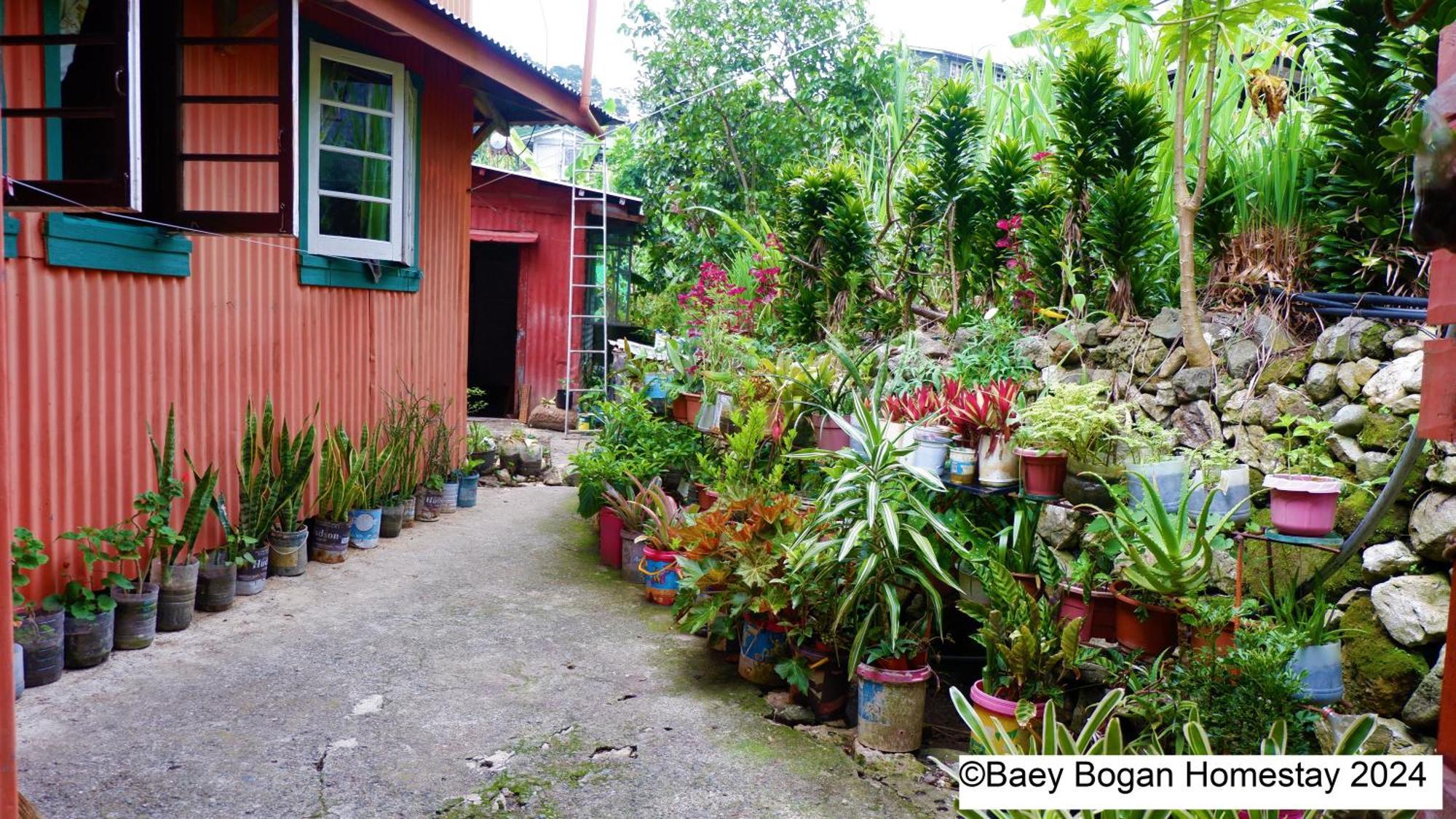 Baey Bogan Homestay Sagada Extérieur photo