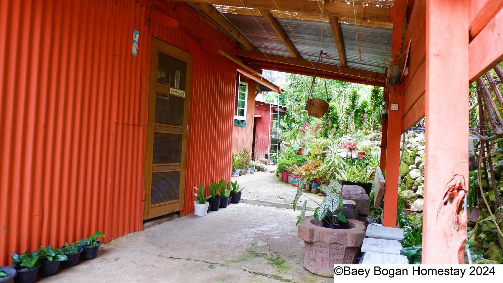 Baey Bogan Homestay Sagada Extérieur photo