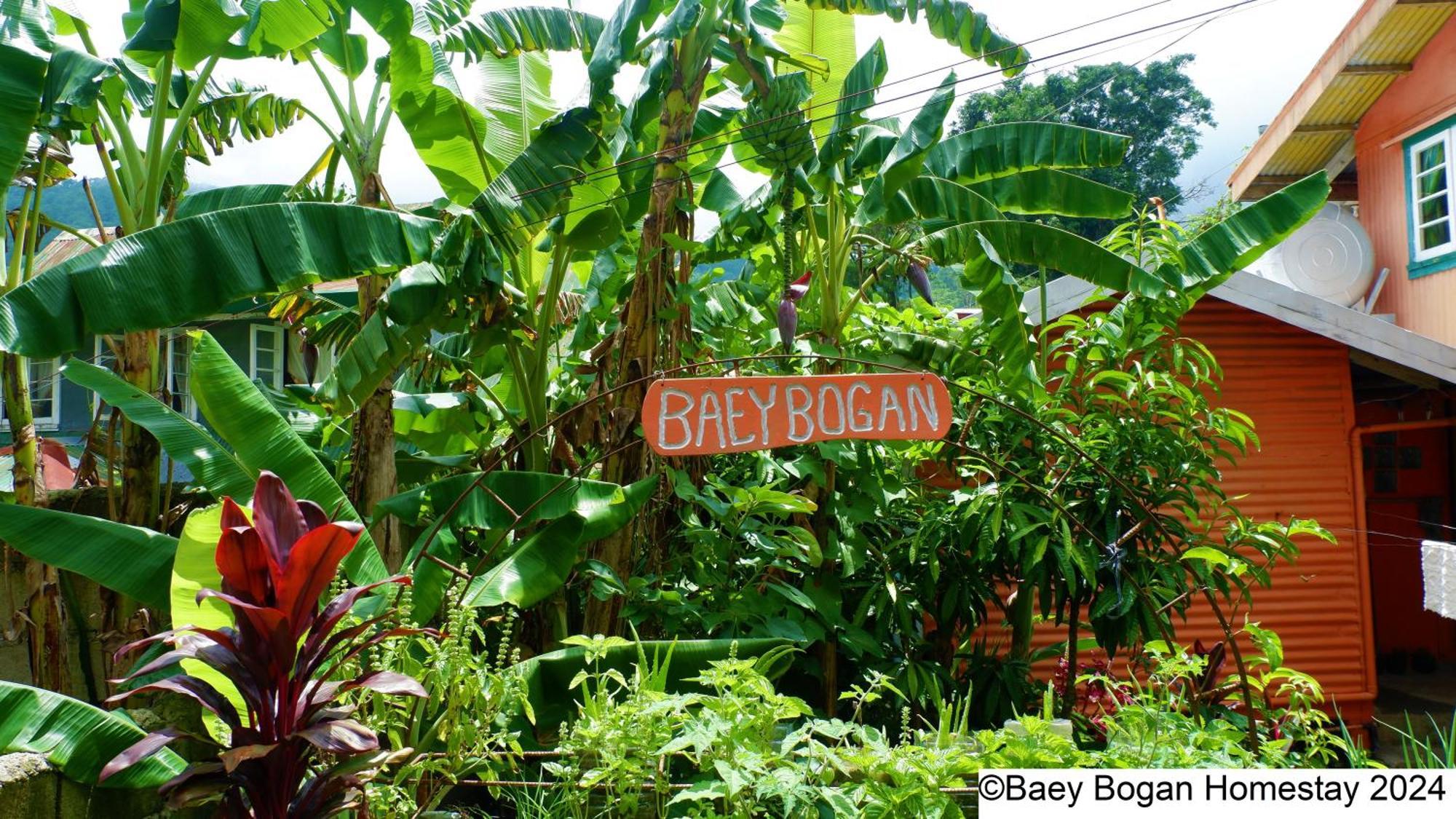 Baey Bogan Homestay Sagada Extérieur photo