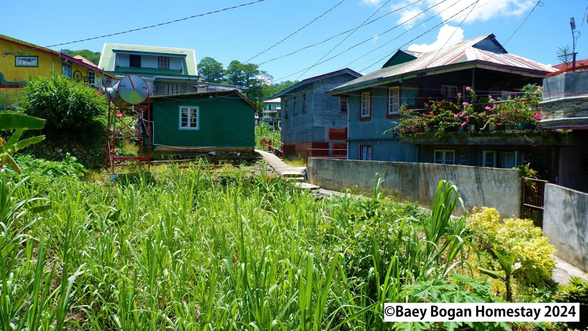 Baey Bogan Homestay Sagada Extérieur photo