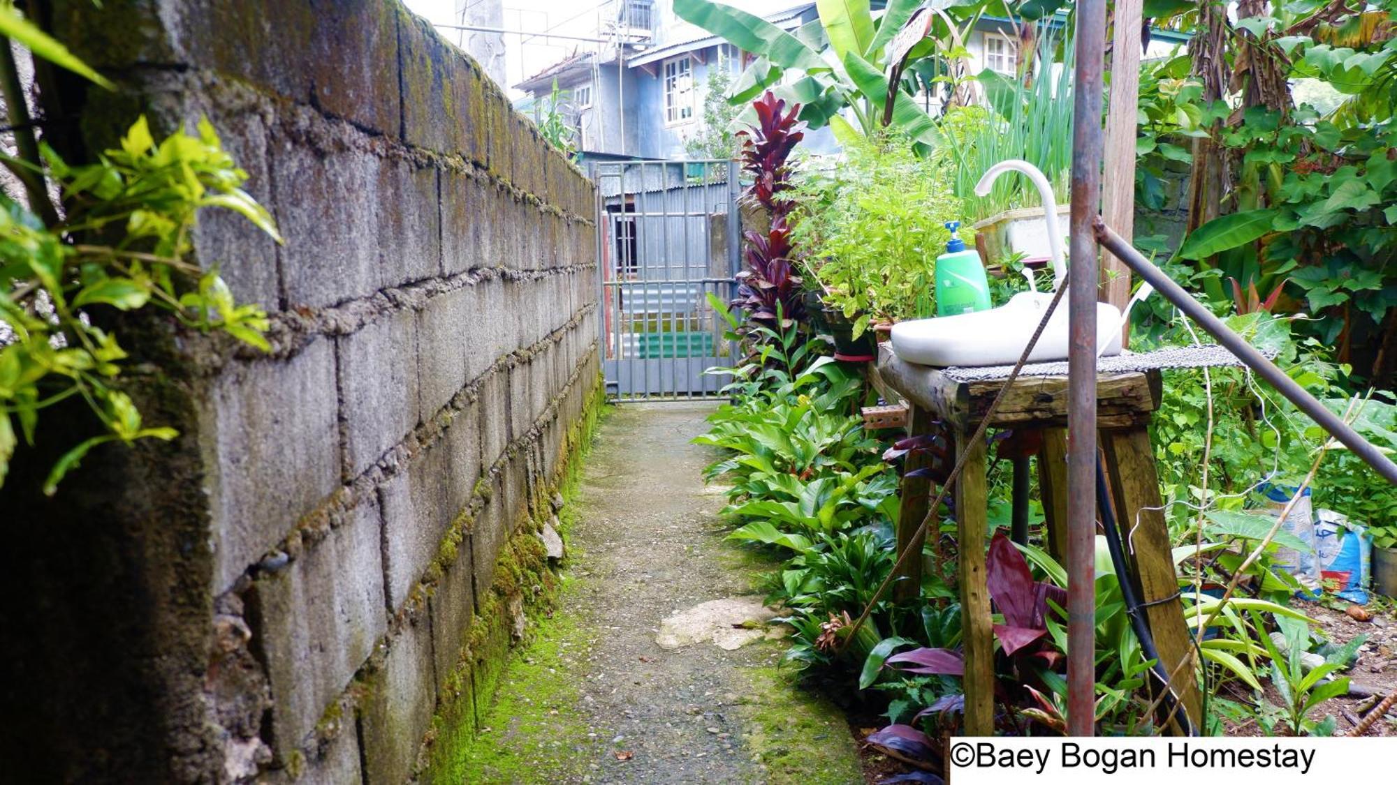 Baey Bogan Homestay Sagada Extérieur photo