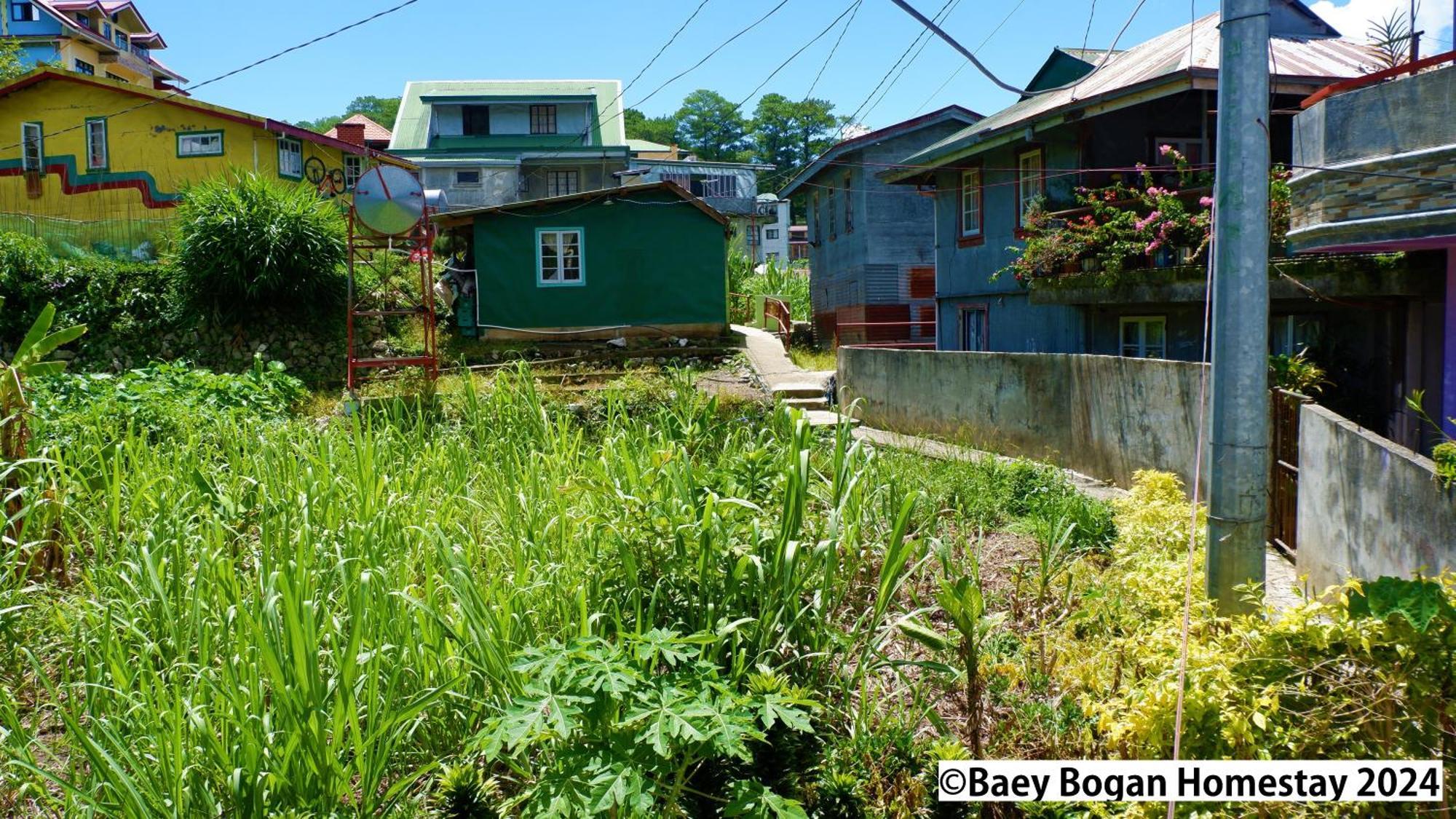 Baey Bogan Homestay Sagada Extérieur photo